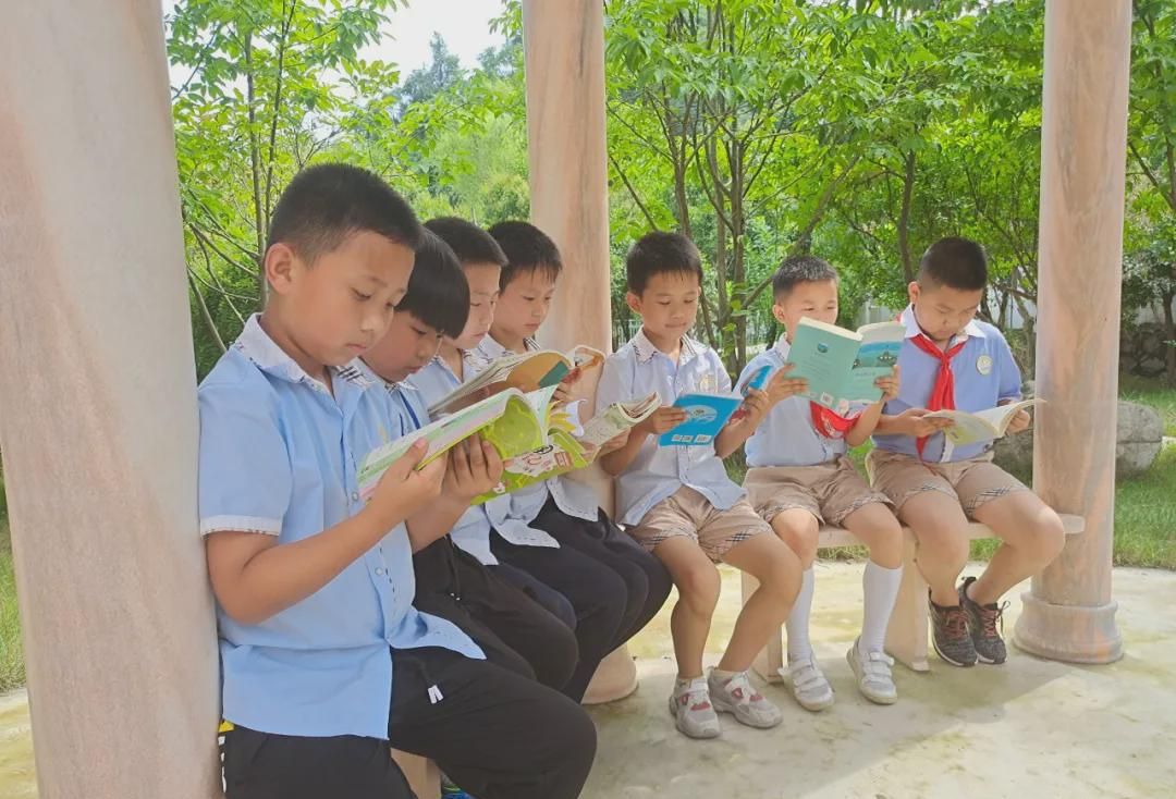 新縣啟福小學(xué)2021年秋季一年級新生招生公告