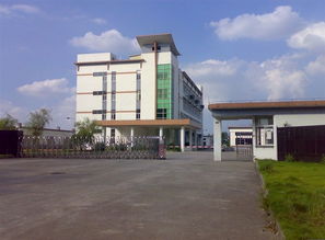 廣州南沙區(qū)重點小學(xué)有哪些,廣州南沙區(qū)重點小學(xué)排名一覽