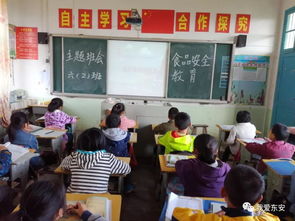 東安縣紫溪中心小學(xué)召開 食品安全教育 主題班會