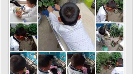 新縣啟福小學(xué)舉行勞動教育系列活動