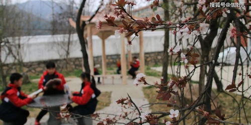 新縣中小學(xué)開學(xué)一周掠影