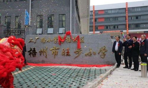 梧州工廠路小學首個分校區——啟福小學今日正式開學，校園美景引人贊嘆